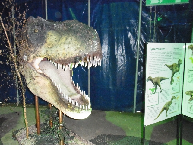 2013-05-22 Dino-Ausstellung-M3 04