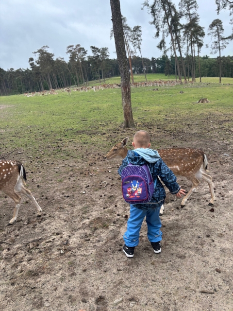 2025 05 27 Primarstufenausflug Hamm 019