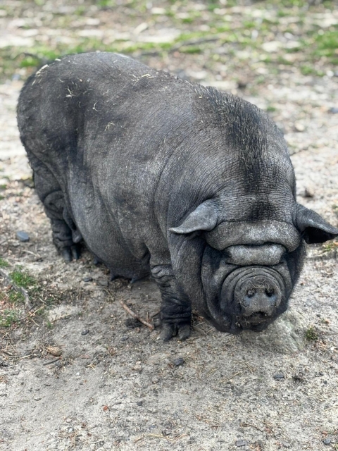 2025 05 27 Primarstufenausflug Hamm 030