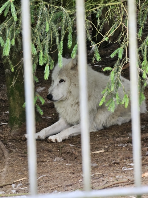 2025 05 27 Primarstufenausflug Hamm 039