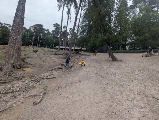 2025 05 27 Primarstufenausflug Hamm 084