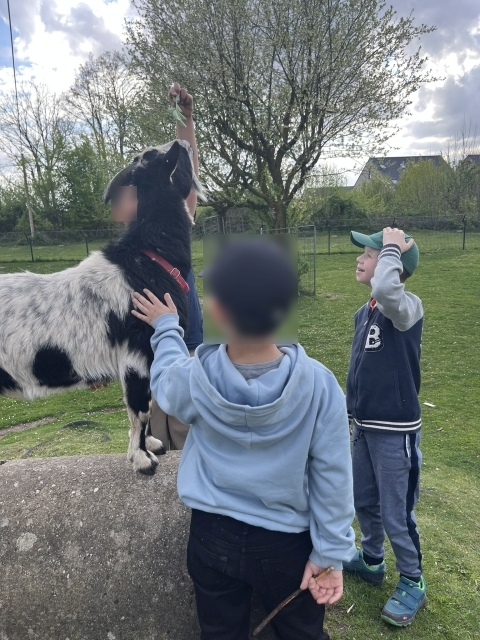 2026 04 17 KLassenfahrt 5b 024