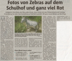 Fotos von Zebras auf dem Schulhof und ganz viel Rot